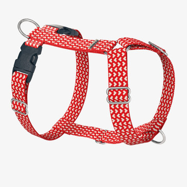 front view of harness front view of harness